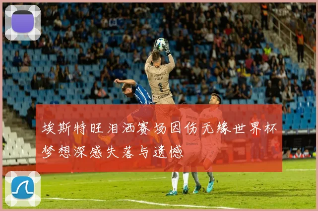 埃斯特旺泪洒赛场因伤无缘世界杯梦想深感失落与遗憾